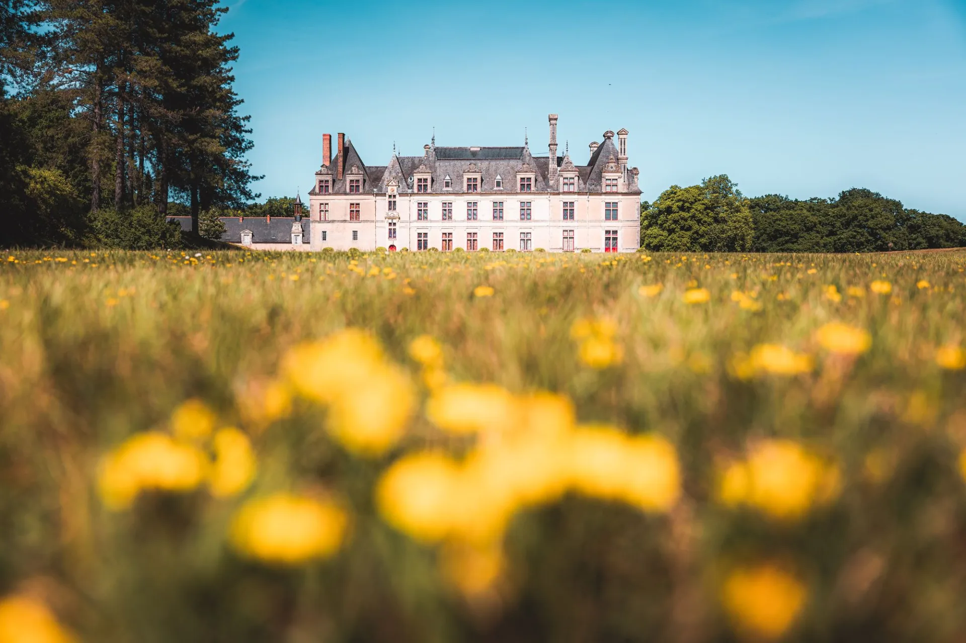 le-ch-teau-de-beauregard-un-tr-sor-cach-du-val-de-loire-le-val-de-loire