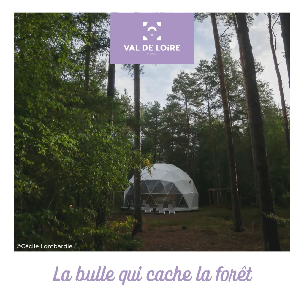 Episode 10 des podcasts "Instantanés du Val de Loire" - La bulle qui cache la forêt