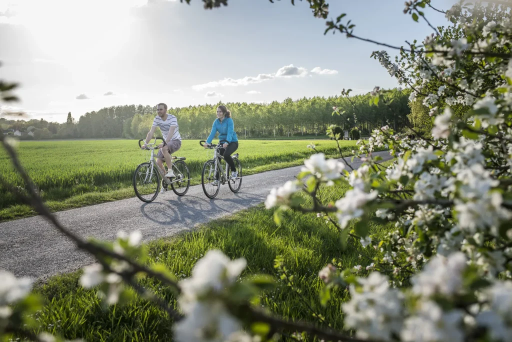 Couple de cyclistes