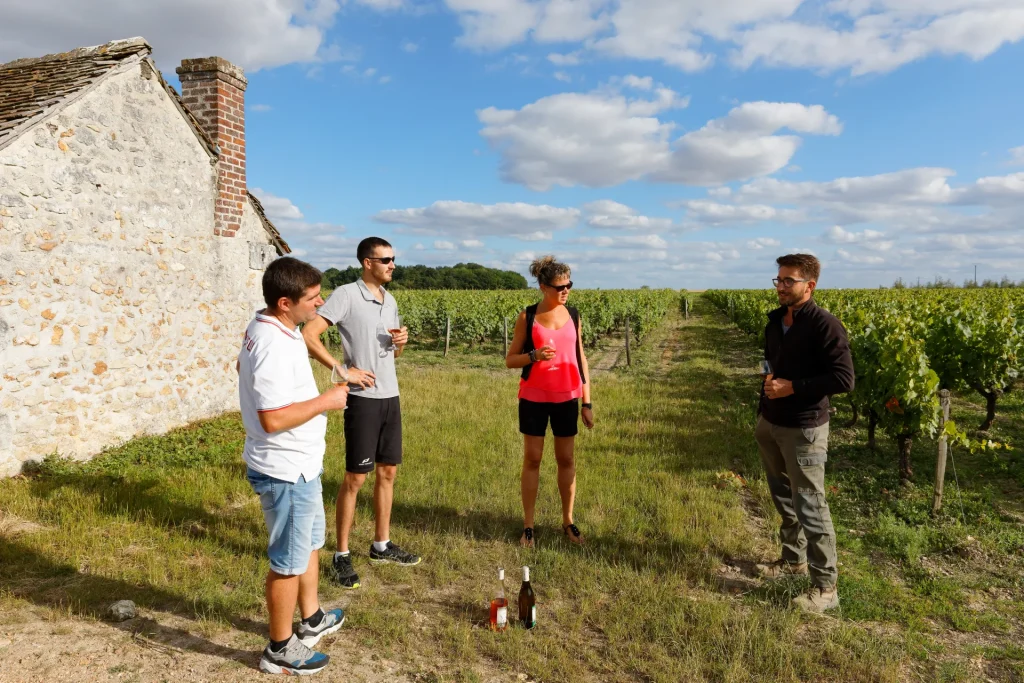 Visite et dégustation dans les vignobles du Vendômois