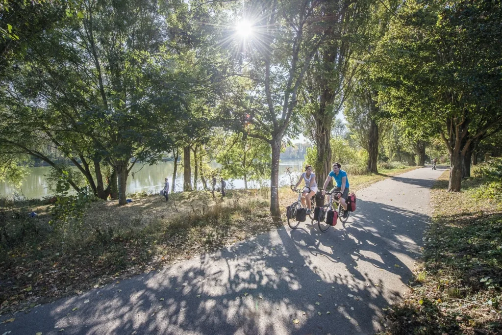 Saint-Jacques à vélo : bords de Loire à Marmoutier