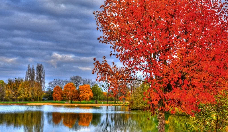 Vue sur le parc et le lac en automne