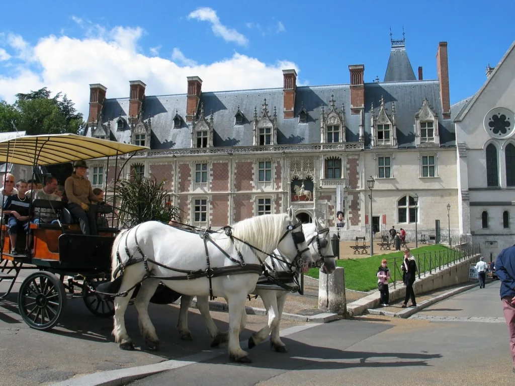 Attelage à Blois