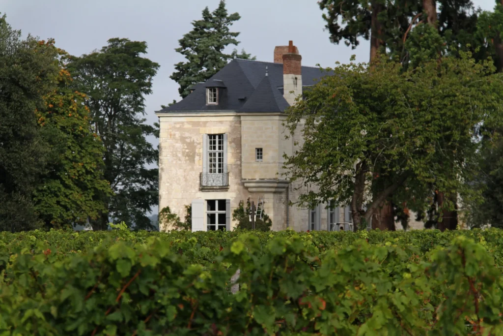 Château de Minière et vignes au premier plan