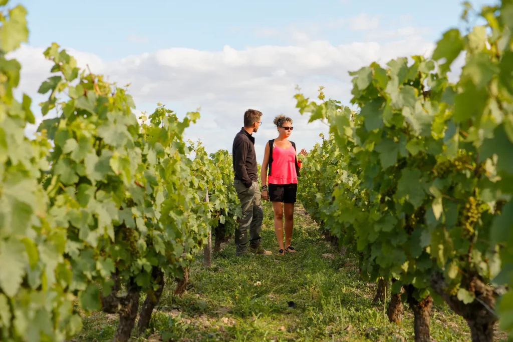 Femme en visite dans les vignes des Coteaux du Vendômois