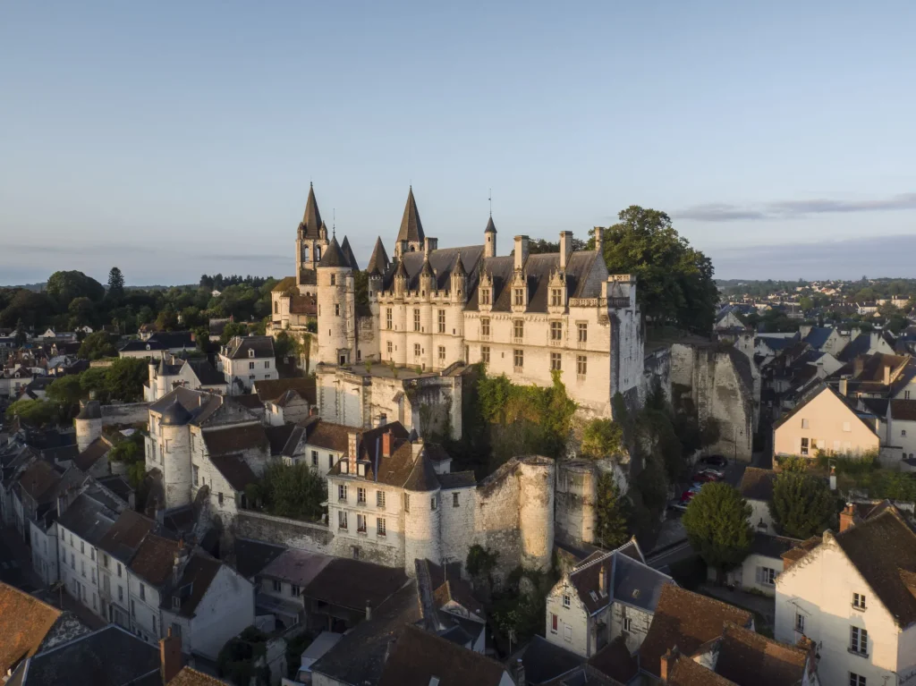 Vue sur la Cité royale de Loches