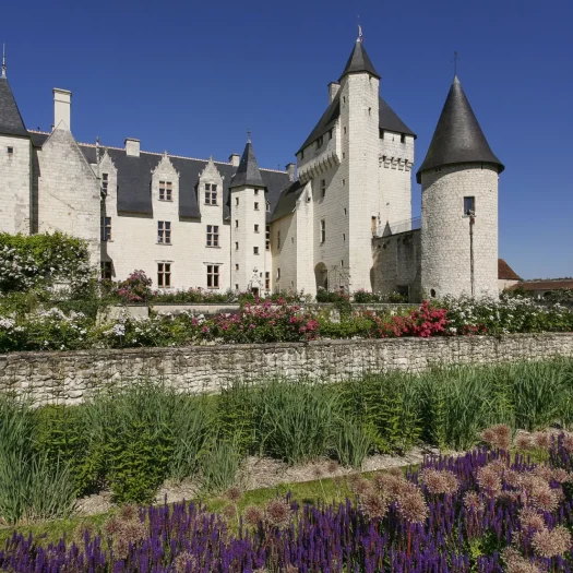 Fleurs devant le Château du Rivau