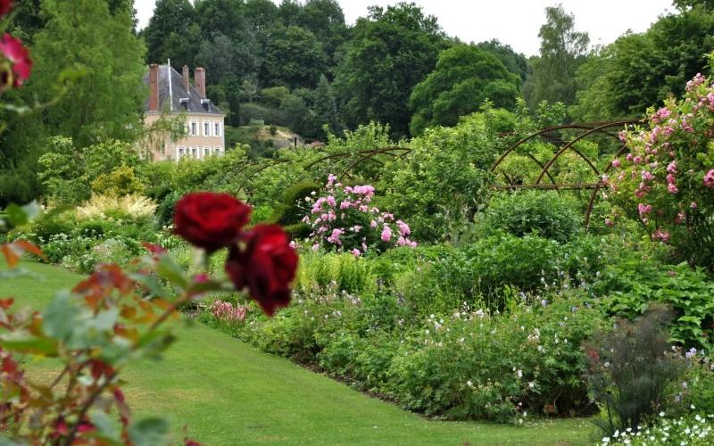 Massifs de fleurs et de roses du jardin