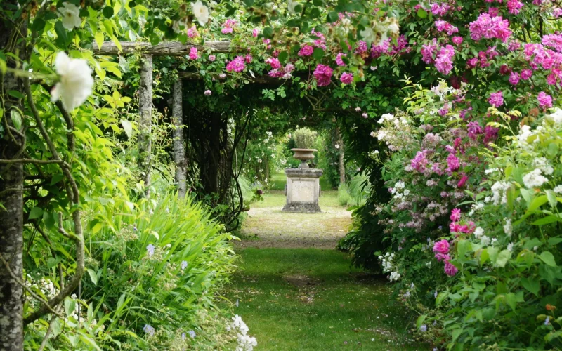 Tunnel de fleurs roses et blanches