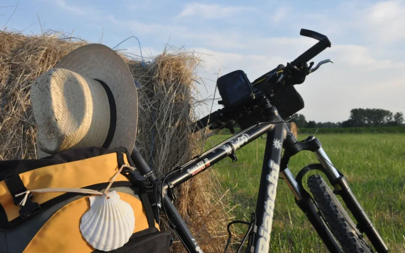 Vélo dans les champs