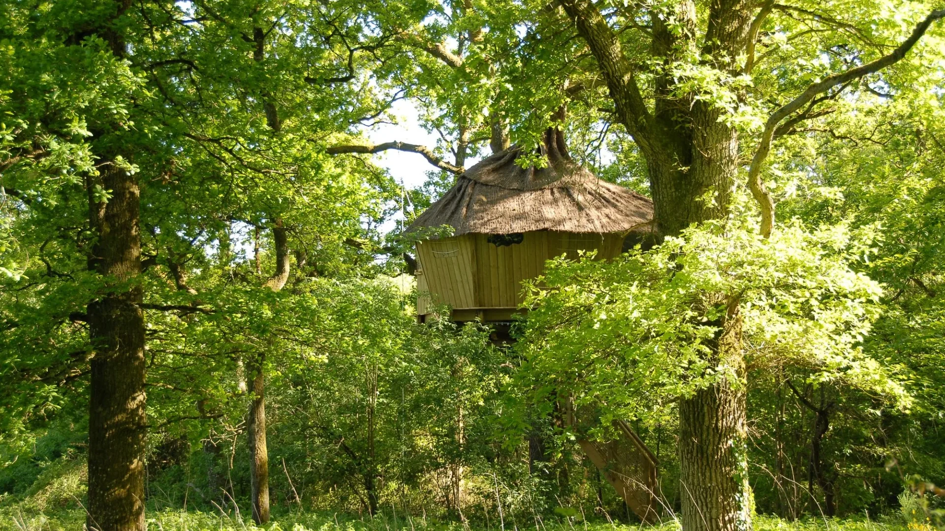 Une nuit dans une cabane dans les arbres - Val de Loire