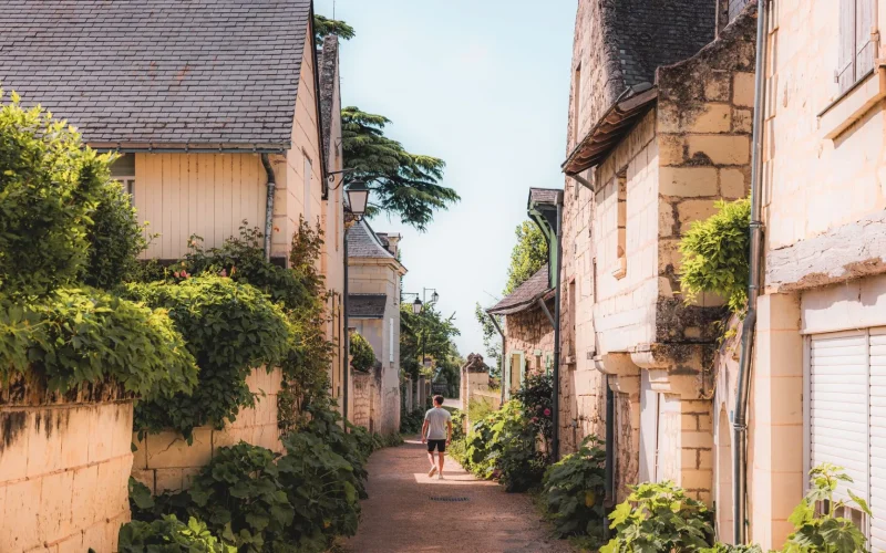 Balade à Candes-Saint-Martin