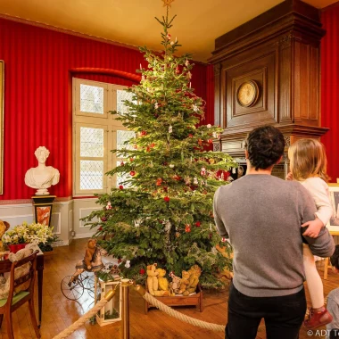 Sapin de Noêl et cadeaux dans une salle de château