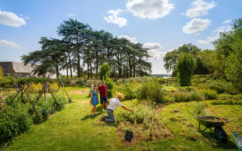 Balade dans les jardins du Château de La Bourdaisière