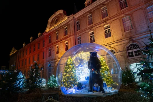 Abbaye on Ice - Noël à Vendôme