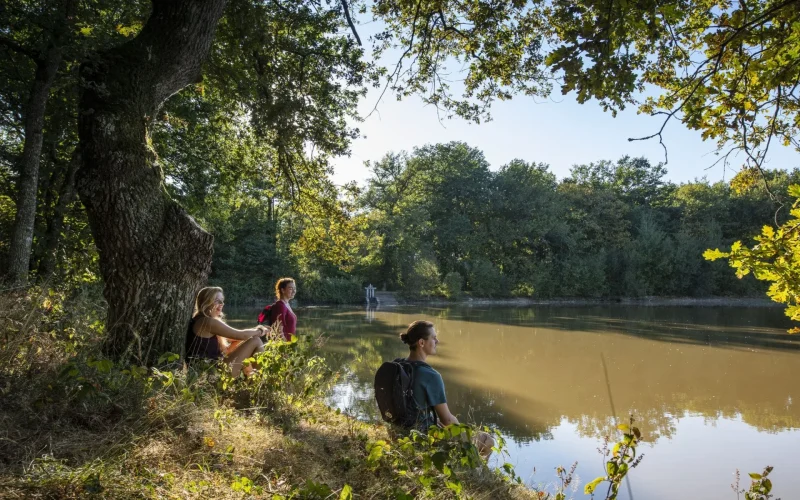 Randonneurs en Sologne